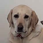 Suzanne Whaley - @raymondscoobes - Instagram