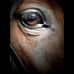 Suzanne Whelan - Facebook