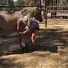 Suzanne White - @suzanne.white4 - TikTok