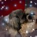 Suzanne Wickham - Facebook