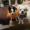 suzannewiggins937 - @suzannewiggins937 - TikTok