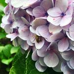 Suzanne Wrenn - @wrenn_suzanne - Instagram