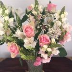 Suzanne Wright - @suzannewright9971 - Instagram