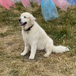 Suzanne Keith Zimmer - @iamsailorthegolden - Instagram