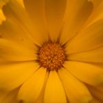 Suzanne Zimmer - @zimmer881 - Instagram