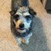 Suzette Barton - Facebook