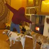 suzelloyd - @dogmumx4 - TikTok