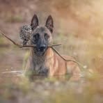 Suzette Morrison - Facebook