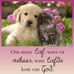 Suzette Stone - Facebook