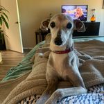 Suzette Boucher-Warren - @suzetteboucherwarren - Instagram