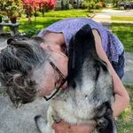 Susan Armstrong - @suziandthedogs - Instagram