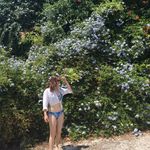 Suzie Armstrong - @suziearmstrong434 - Instagram