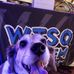Suzi Davis - Facebook