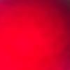 SuziPerry - @suzi.perry - TikTok