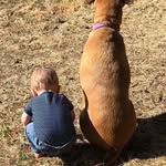 Suzi Stern Hayman - @suzihayman - Instagram