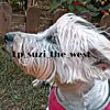 Fp_suzi_the_west<3 - @fp_suzi_the_west - TikTok