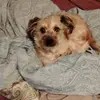 Susie Bailey - @susie.bailey8 - TikTok