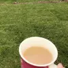 Suzie12 - @suziebarton - TikTok