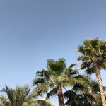 Suzie Kramer - @wongy44 - Instagram