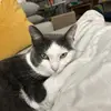 Susie Larson - @susie.larson88 - TikTok