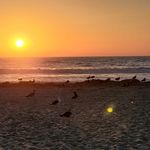 Suzie Larson - @suziesescape - Instagram