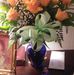 Susie Nelson - Facebook