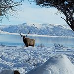 Suzie Nelson - @suzie.nelson.73 - Instagram