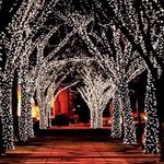 Suzanne wheeler - @suzielights - Instagram