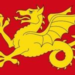 suzie wheeler - @dragonelle2 - Instagram