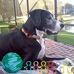 Suzy Arnold - Facebook