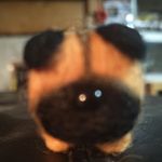 Suzy Clark - @boozy_suzy666 - Instagram