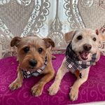 Suzy Dean Edwards - @terrysuzy.edwards - Instagram