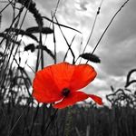 Suzy Edwards - @suzyw1032972 - Instagram
