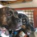 Suzanne Gardner - Facebook