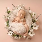 Suzi Gardner Newborn photographer - @suzigardnerphotography - Instagram