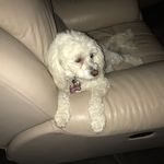Suzy Graham - @suzy3337 - Instagram