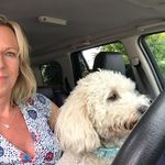 Suzy harrison - @suzyharrison1 - Instagram