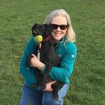 Suzy Harrison - @suzy21790 - Instagram