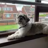 Suzyjohnston56 - @suzyjohnston56 - TikTok