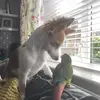 Suzanne Morgan - @suzyie13 - TikTok