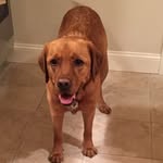Lucy - @suzyspitzen - Instagram