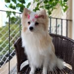 Suzy_spitz - @suzy_spitz.01 - Instagram