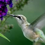 Suzy Spitz - Facebook