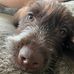 Suzy Stevens - Facebook