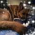 Suzy Wheeler - Facebook