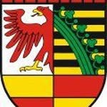 Sven Hammer - @hammersven - Instagram