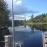 Sven Holm - @svennebus - Instagram