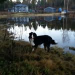 Sven Åke Johnson - @svenakejohnson - Instagram