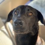 Sven Johnson - @goodboy_sven - Instagram