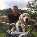 Sven Johnson - @sven.johnson.33 - Instagram